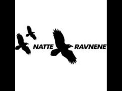 Natteravner